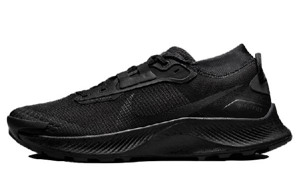 Nike Pegasus Trail 3 Gore-Tex Black