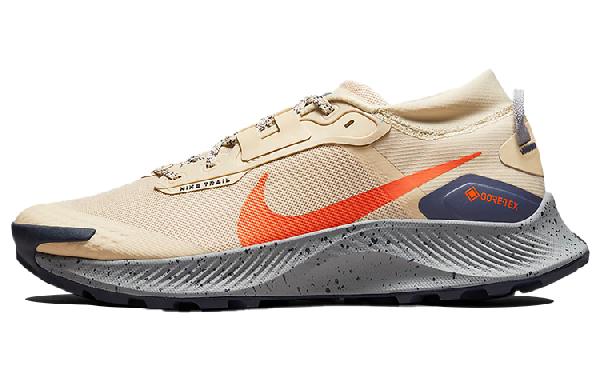 Nike Zoom Pegasus Trail 3 GTX