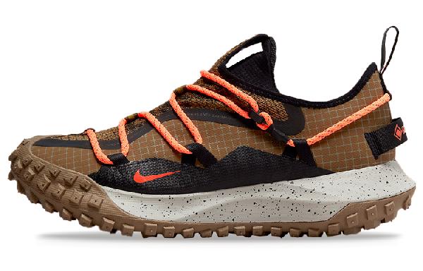 Nike ACG Mountain Fly Low GTX SE Brown