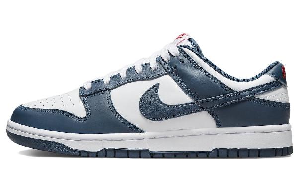 Nike Dunk Low Retro "Valerian Blue"