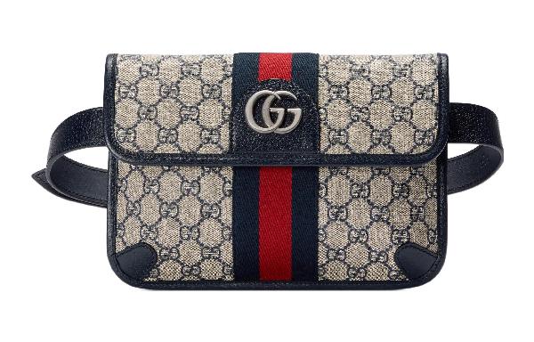 Gucci Ophidia Bag