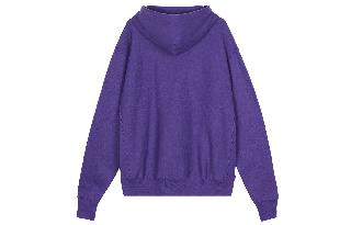 Champion Mens Plc Pull Over