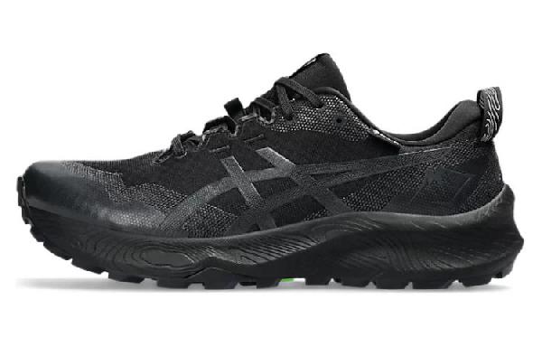 Asics GEL-Trabuco 12 GTX Black