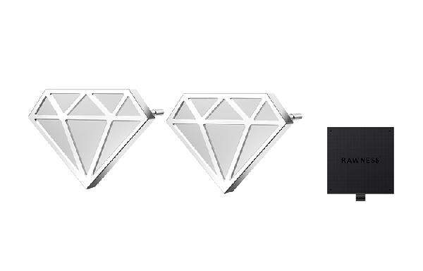 RAWNESS Cold Style Stud Earring