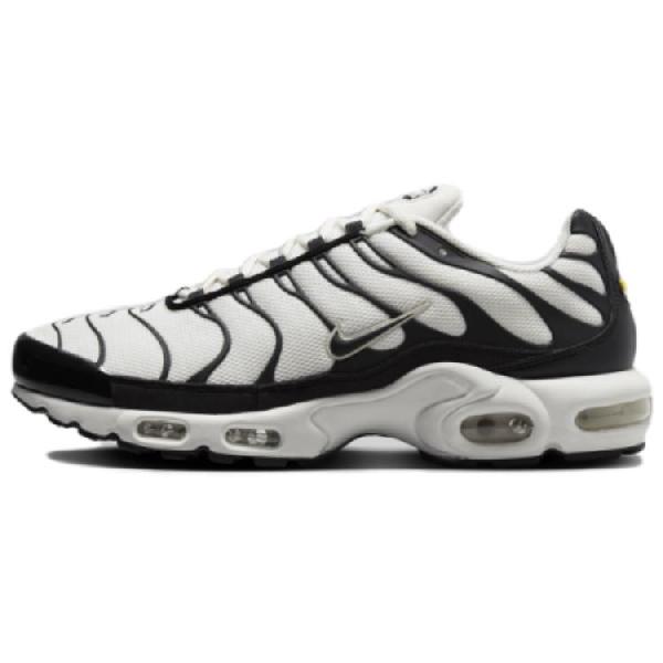 Nike Air Max Plus White Black