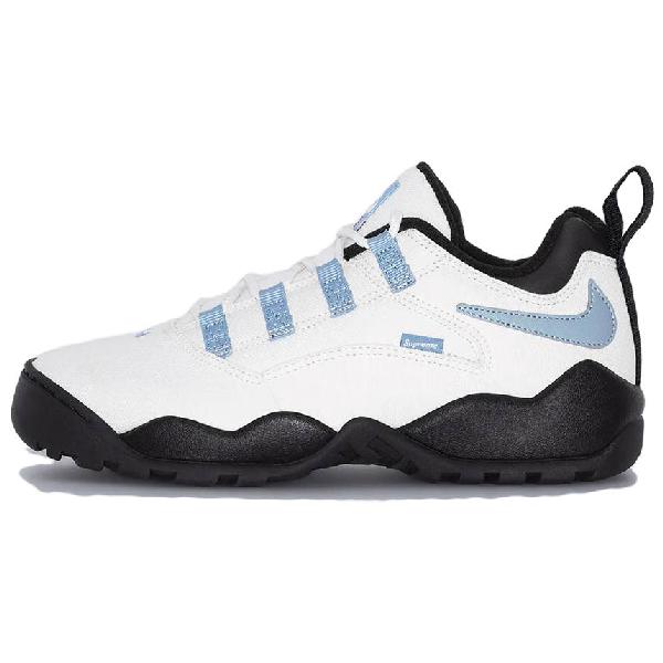 Supreme x Nike SB Darwin Low White