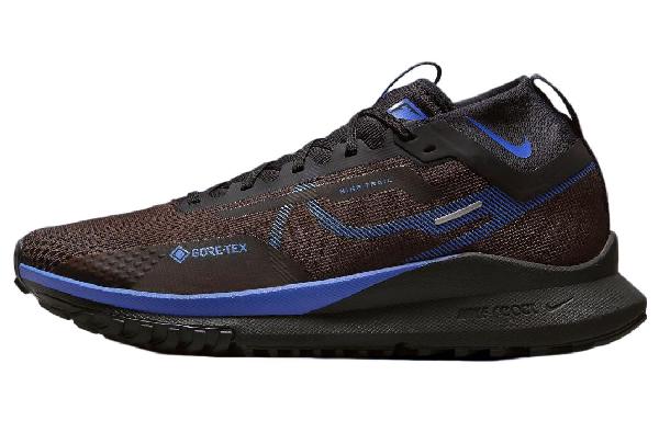 Nike Pegasus Trail 4 GORE-TEX