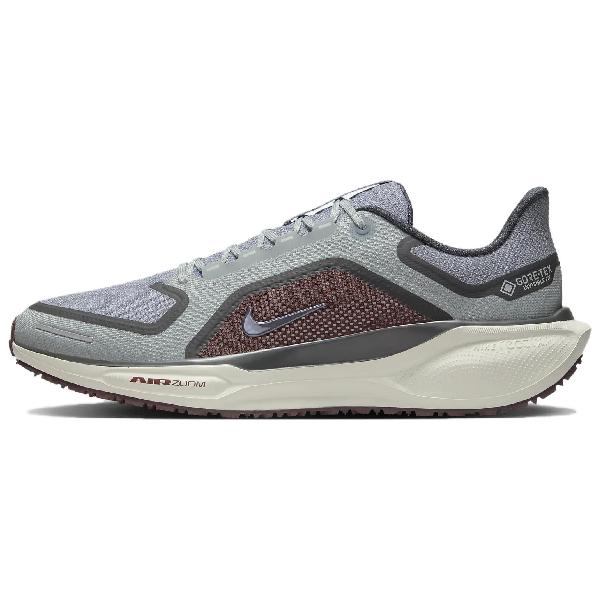 Nike Pegasus 41 GORE-TEX