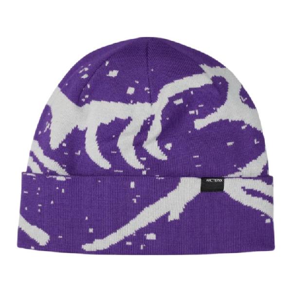 Arcteryx