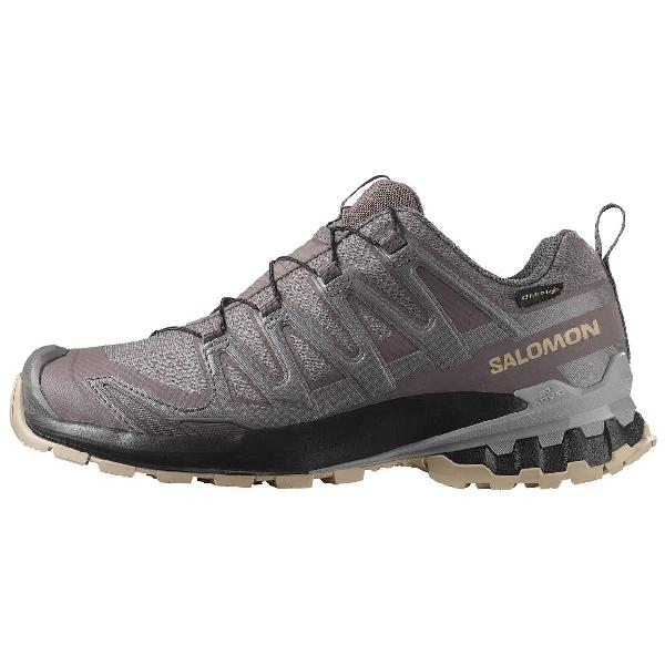 SALOMON XA Pro 3D V9 Gore-tex