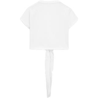 Massimo Dutti T