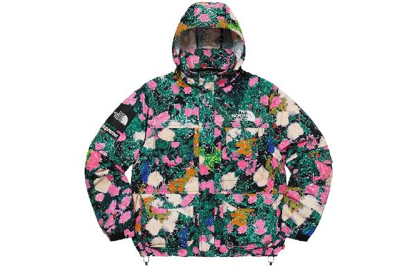 Supreme x THE NORTH FACE Logo