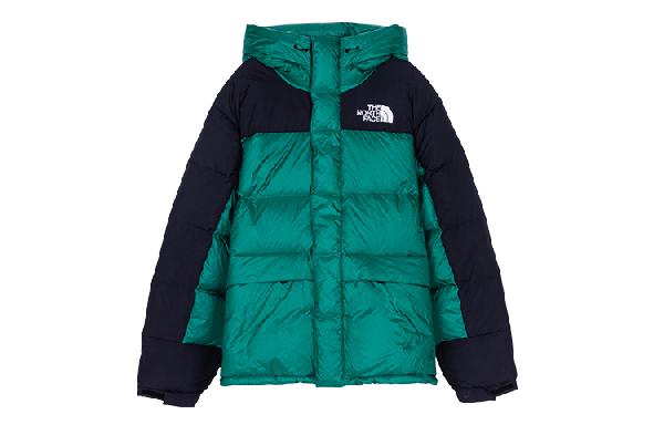 The North Face Energy Series Down Parka