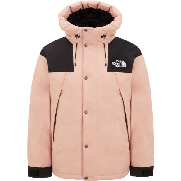 The North Face Mountain Down Gore-Tex