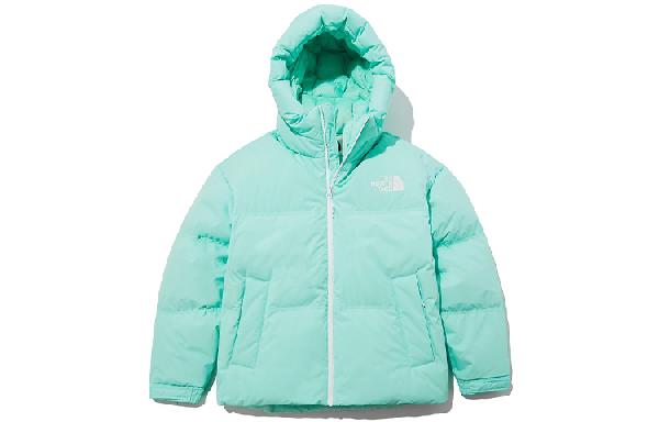 THE NORTH FACE 1996 Nuptse eco Logo