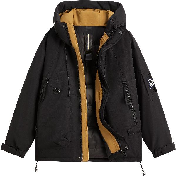 Paddington Bear