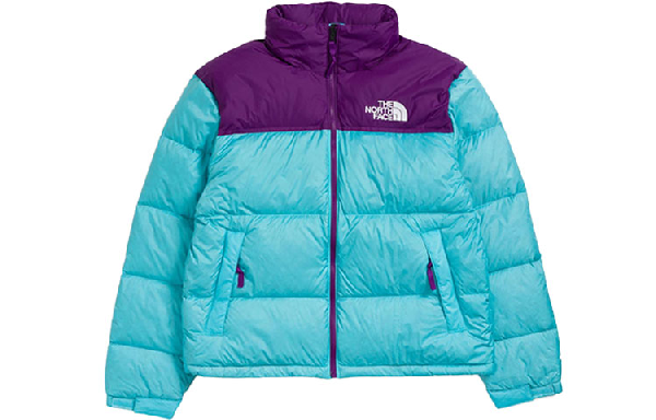 THE NORTH FACE 1996 Retro Nuptse 700