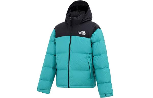 THE NORTH FACE 1996 Retro Nuptse 700
