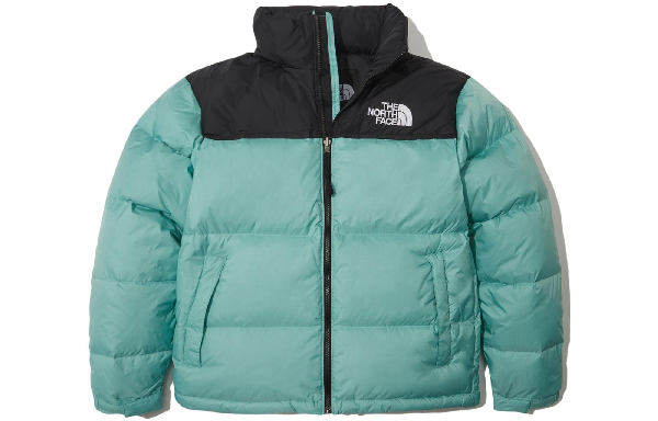 The North Face 1996 Logo Embroidered Mint