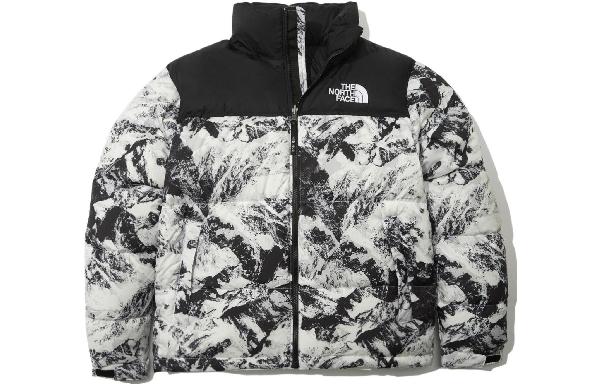 The North Face 1996 Novelty Nuptse Jacket