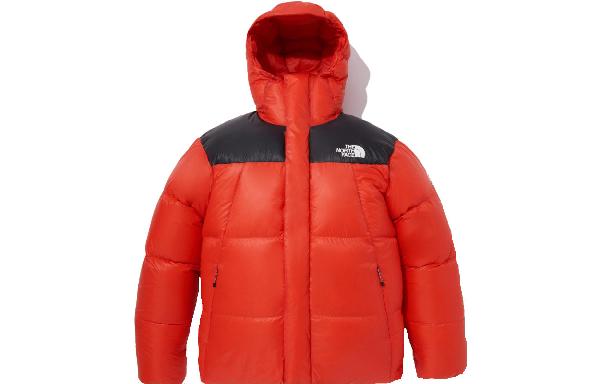THE NORTH FACE Baruntse Down Jacket Logo