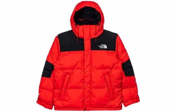 THE NORTH FACE Logo