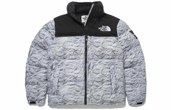 The North Face Novelty Nuptse Silver