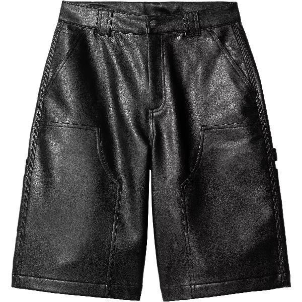 Carhartt WIP SS25 W' Norwich DK Short