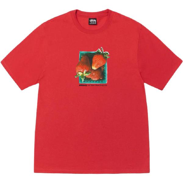 Stussy SS25 BERRIES TEE T