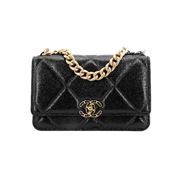 CHANEL 19 Bag WOC