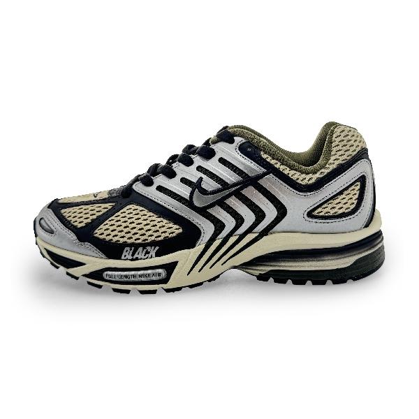 Nike Air Pegasus 2005