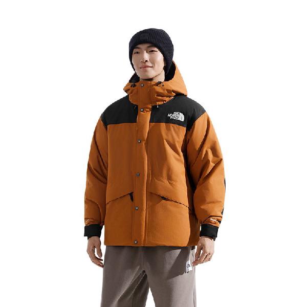 THE NORTH FACE Dryvent FW25 600