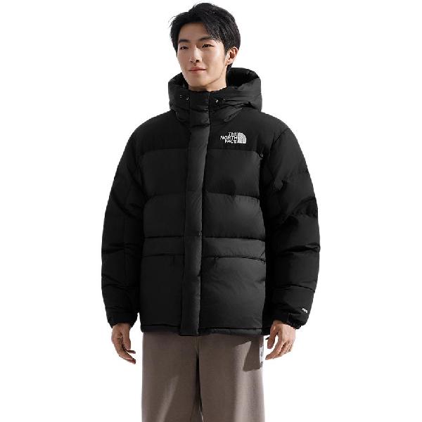 THE NORTH FACE ICON Hmlyn logo550