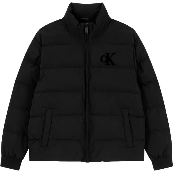 CALVIN KLEIN Logo