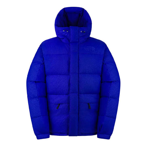 THE NORTH FACE ICON FW25 HMLYN 550