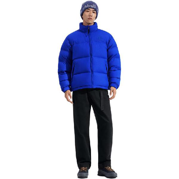 THE NORTH FACE ICON 96Nuptse DWR700