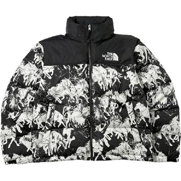 THE NORTH FACE Nuptse SS26 ICON CNY 1996 700