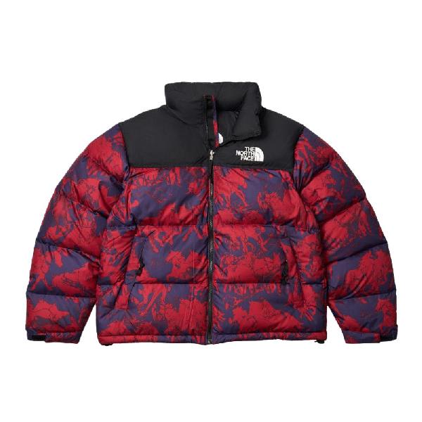 THE NORTH FACE Nuptse FW25 ICON 96 700