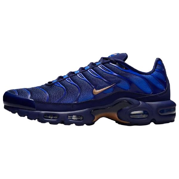 Nike French Football Federation Air Max Plus OG